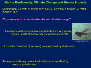 Marine Biodiversity, Climate Change and Human Impacts