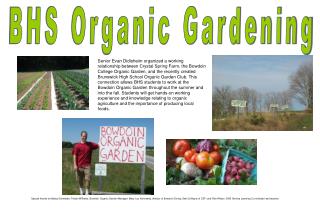 BHS Organic Gardening