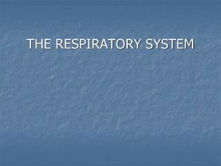 THE RESPIRATORY SYSTEM