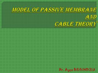 MODEL OF PASSIVE MEMBRANE AND CABLE THEORY