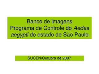 Banco de imagens Programa de Controle do Aedes aegypti do estado de São Paulo