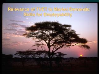 Relevance of TVET to Market Demands: Skills for Employability