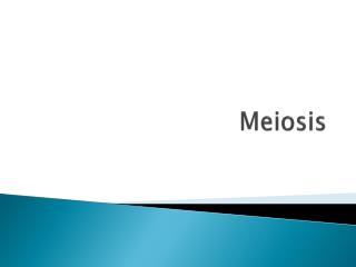 Meiosis