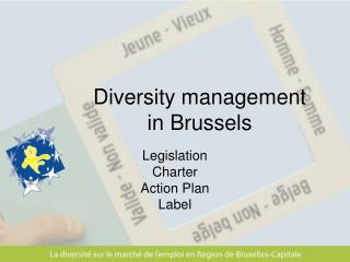 Diversity management in Brussels