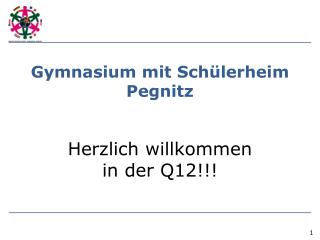 Gymnasium mit Schülerheim Pegnitz