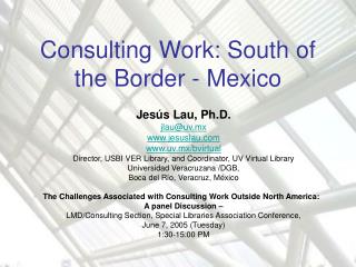 Consulting Work: South of the Border - Mexico