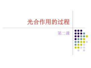 光合作用的过程