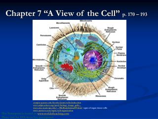 Chapter 7 “A View of the Cell” p. 170 – 193