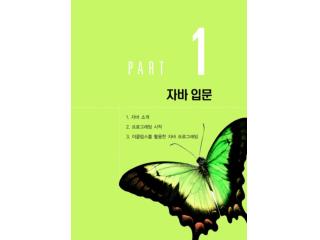 자바의 출현