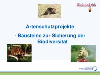 Artenschutzprojekte - Bausteine zur Sicherung der Biodiversität