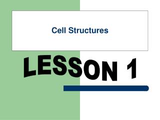 Cell Structures