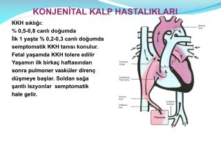 KKH sıklığı: % 0,5-0,8 canlı doğumda İlk 1 yaşta % 0,2-0,3 canlı doğumda