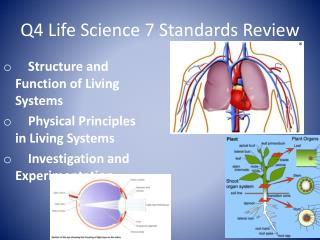 Q4 Life Science 7 Standards Review