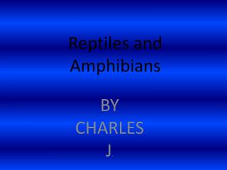 Reptiles and Amphibians