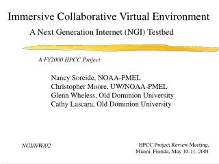 Immersive Collaborative Virtual Environment