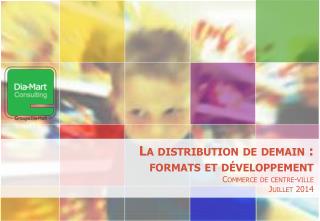 La distribution de demain : formats et développement Commerce de centre-ville Juillet 2014