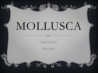 Mollusca