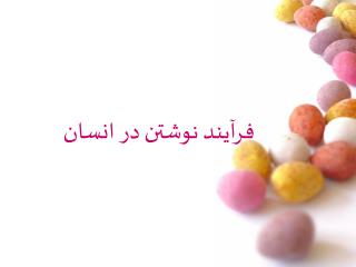 فرآيند نوشتن در انسان