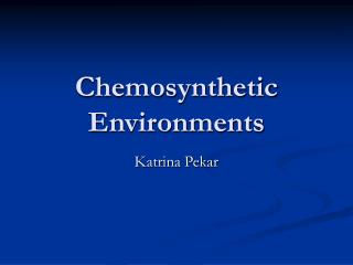 Chemosynthetic Environments