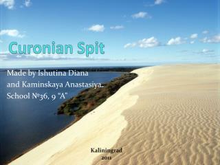Curonian Spit