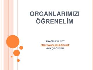 ORGANLARIMIZI ÖĞRENELİM