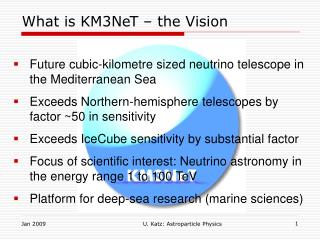 What is KM3NeT – the Vision