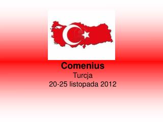 Comenius Turcja 20-25 listopada 2012