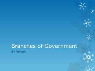 Branches of Government