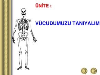 ÜNİTE : VÜCUDUMUZU TANIYALIM