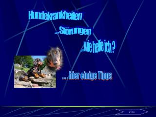 Hundekrankheiten