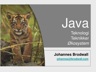 Java Teknologi Teknikker Økosystem