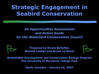 Strategic Engagement in Seabird Conservation