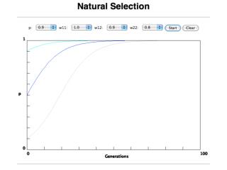 selection versus drift