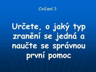 Cvičení 1: