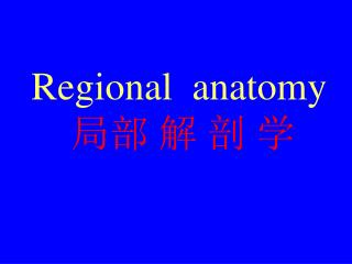 Regional anatomy 局部 解 剖 学