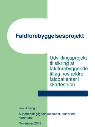 Faldforebyggelsesprojekt
