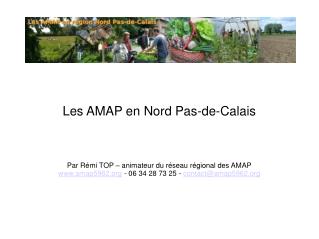 Les AMAP en Nord Pas-de-Calais Par Rémi TOP – animateur du réseau régional des AMAP