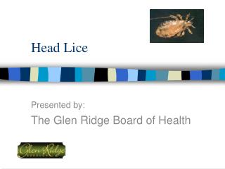 Head Lice