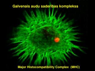 Galvenais audu sader ī bas komplekss