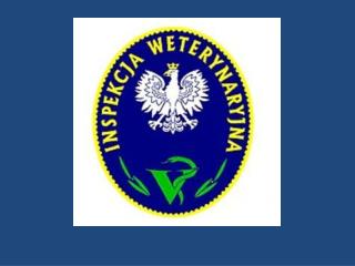 Afrykański pomór świń w Polsce OPIS