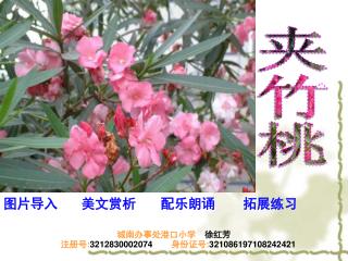 城南办事处港口小学　 徐红芳 注册号 : 3212830002074 身份证号 : 321086197108242421