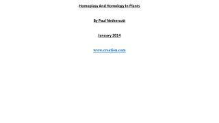 Homoplasy And Homology In Plants By Paul Nethercott January 2014 creation