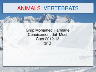 ANIMALS VERTEBRATS