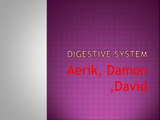 Digestive system