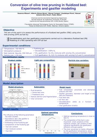 Conversion of olive tree pruning in fluidized bed: Experiments and gasifier modeling