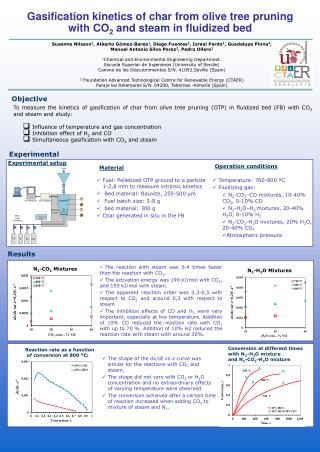 Gasification kinetics of char from olive tree pruning with CO 2 and steam in fluidized bed