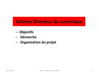 Schéma Directeur du numérique