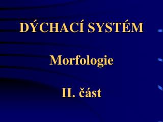 DÝCHACÍ SYSTÉM Morfologie II. část