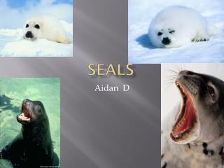 Seals