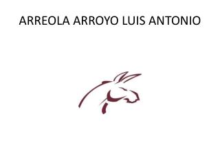 ARREOLA ARROYO LUIS ANTONIO